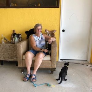 Meet your Posher, Polly